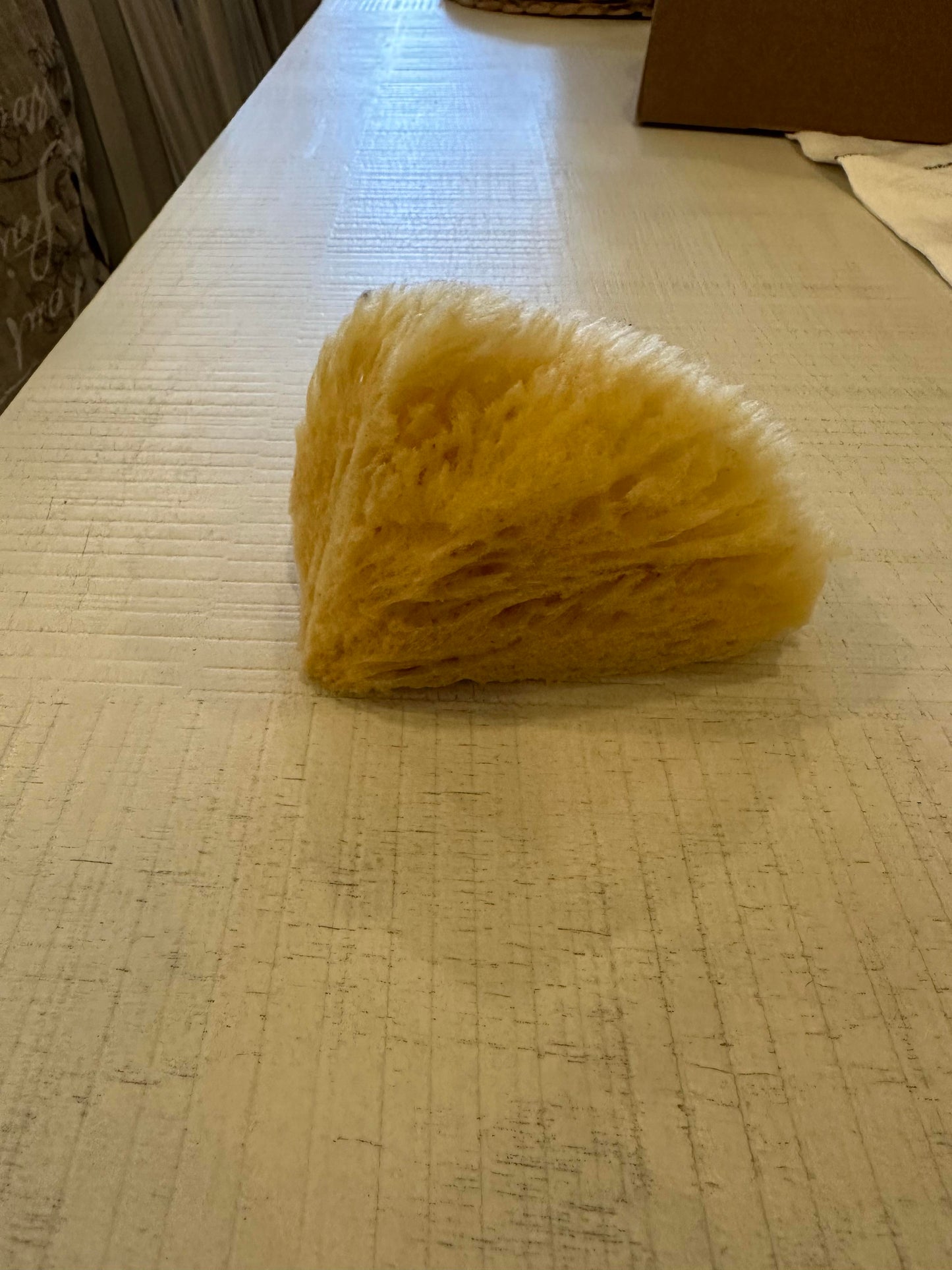 Loofah