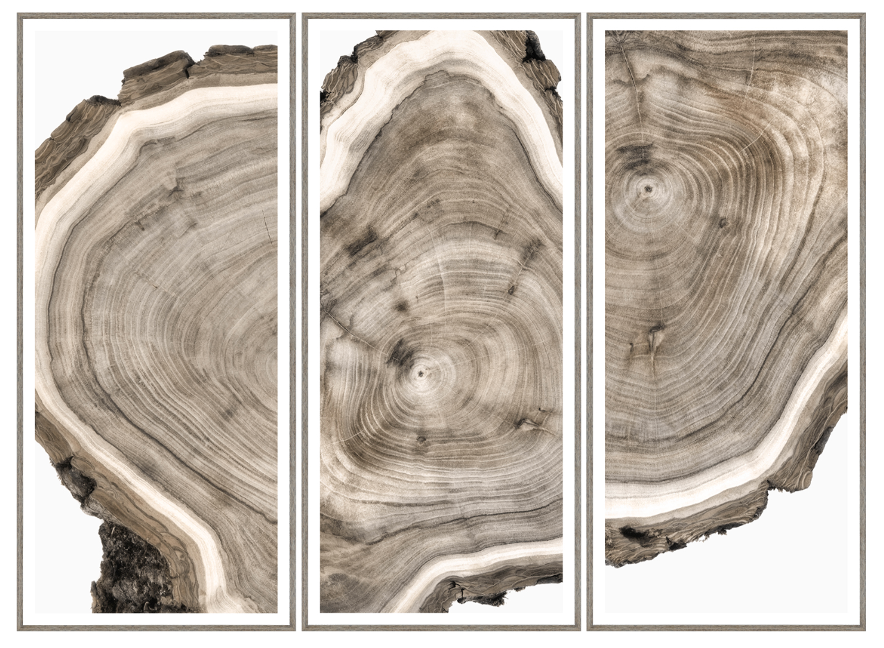 Live Edge Triptych